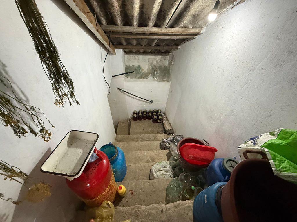 Casa s. Leca