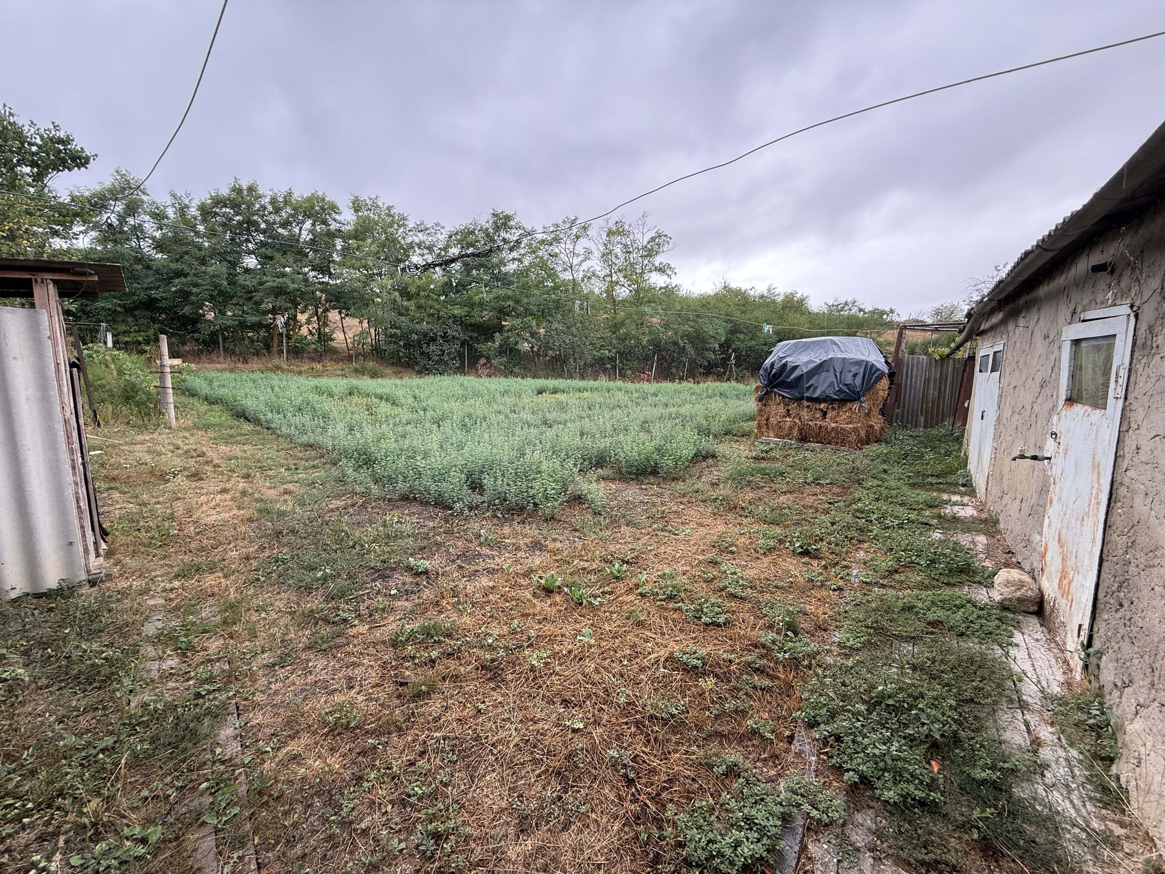 Casa r. Leova s. Tigheci