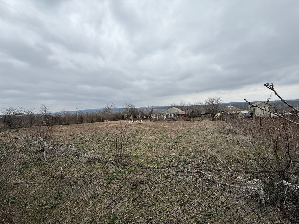 Teren 12 ari str. Mitropolit Visarion Puiu