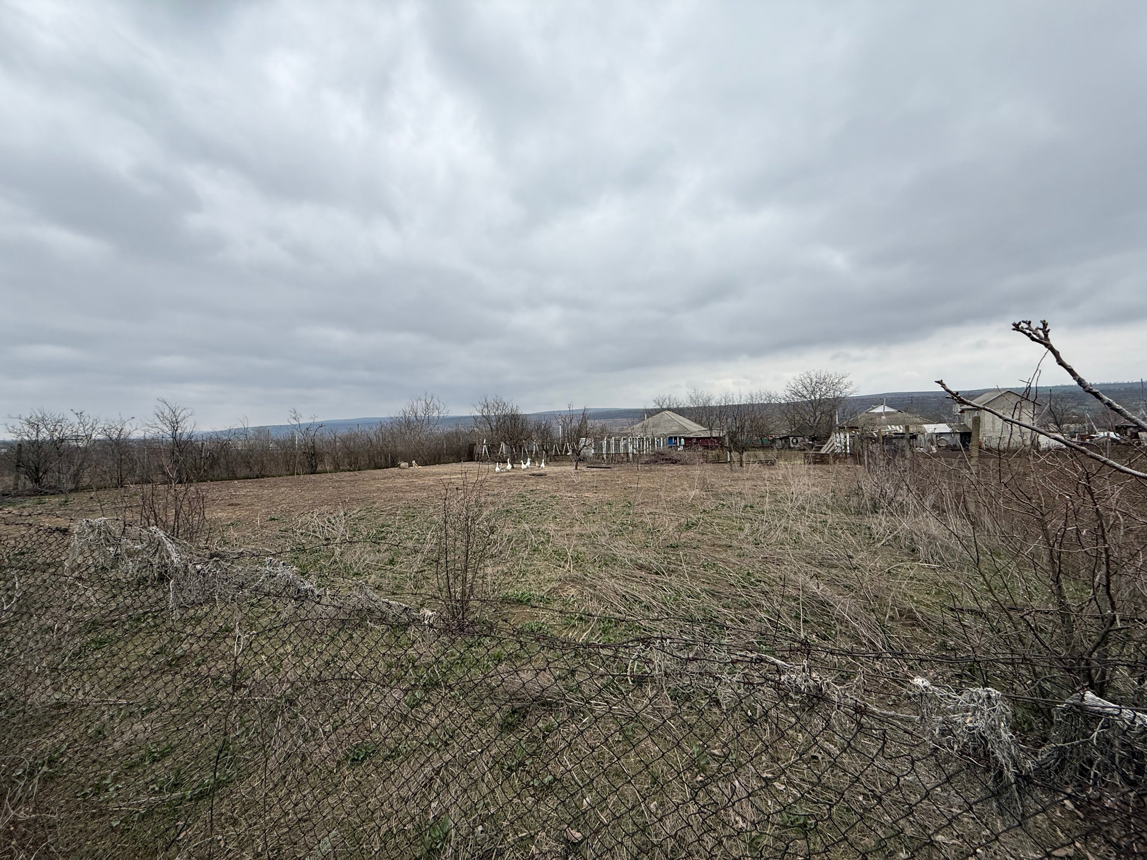 Teren 12 ari str. Mitropolit Visarion Puiu