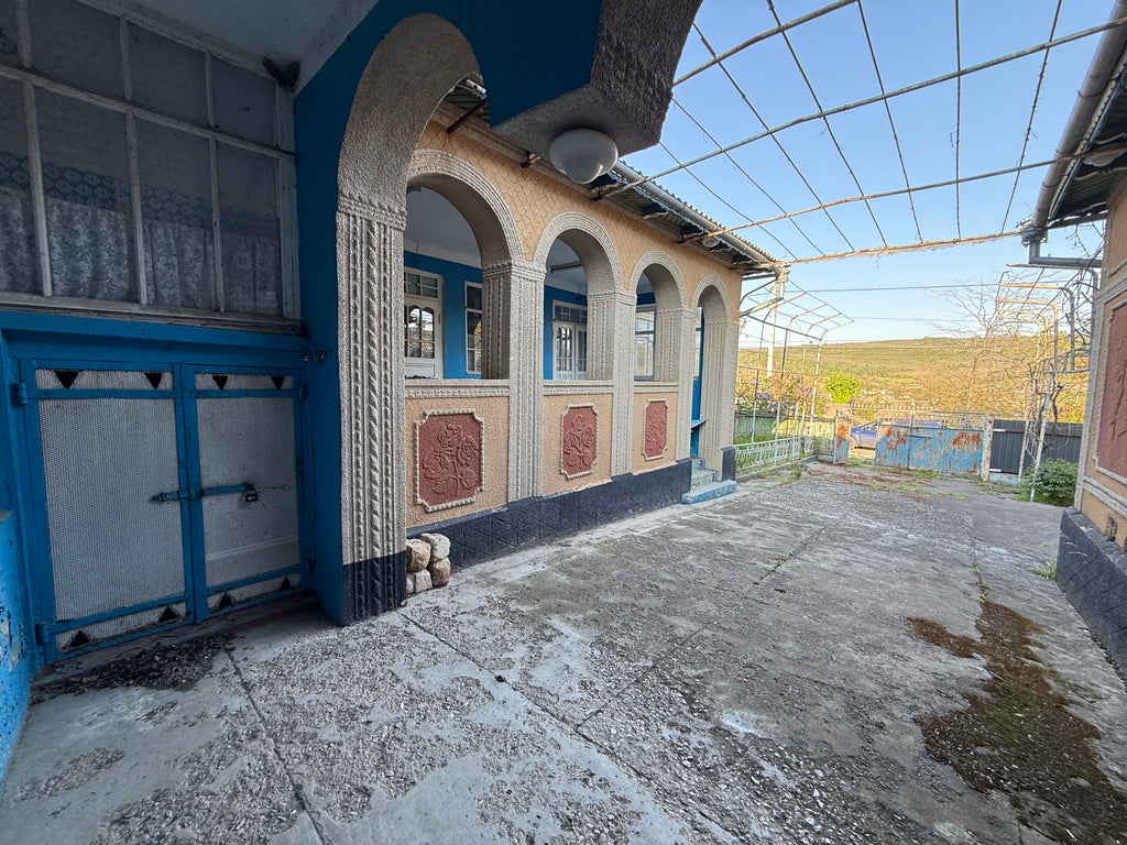 Casa r.Cantemir com.Ciobalaccia s.Victorovca
