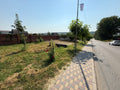 Teren 17 ari s. Cania Str. Păcii